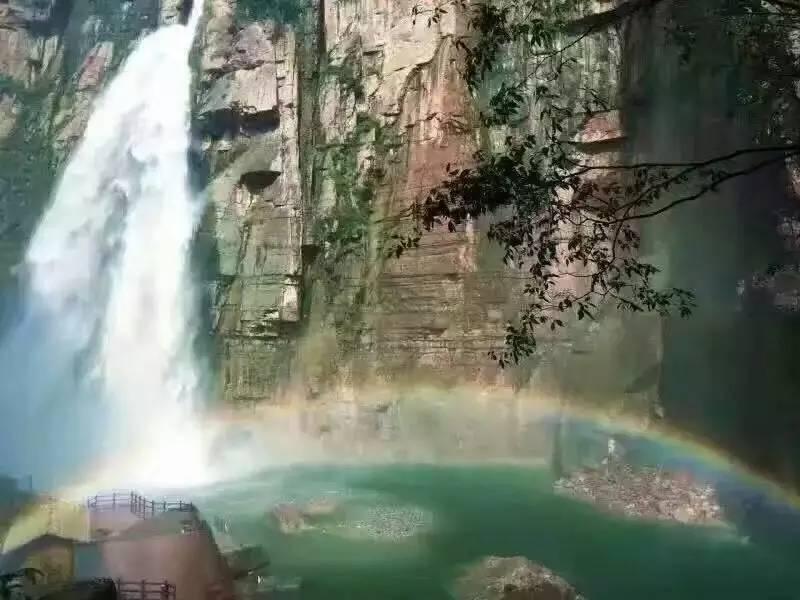 宝宝发育迟缓怎么办?,知识星球平台,全面分享与学习